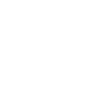 icon 1a